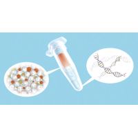 nexttec 1-step DNA Isolation Kit for Blood (200ul) - cleanColumns