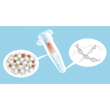 nexttec 1-step DNA Isolation Kit for Yeast - cleanColumns