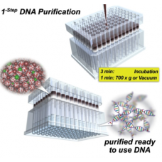nexttec 1-step Plasmid DNA Isolation Kit for Bacteria (E.coli) - cleanPlates96