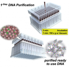 nexttec 1-step DNA Isolation Kit for Blood (10ul) - cleanPlates96